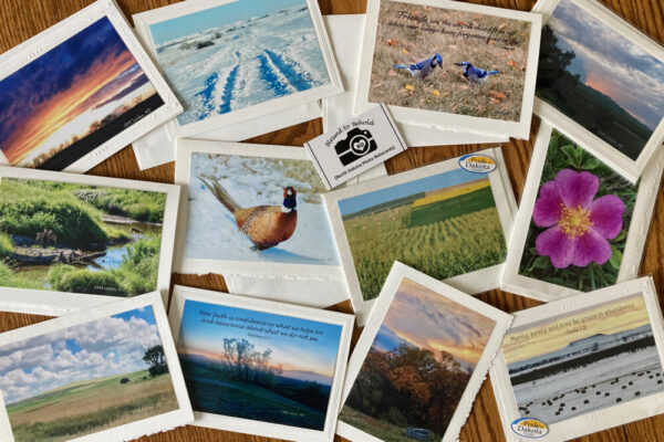 Product image of North Dakota Photo Notecards for Mothers’ Day and Any Day