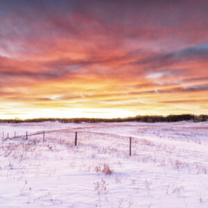 Shop North Dakota Winter Sunrise in the Sheyenne National Grasslands – Photo