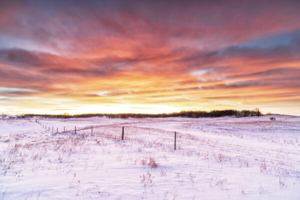 Product image of Winter Sunrise in the Sheyenne National Grasslands – Photo