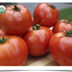 Shop North Dakota Tomato: Allstate