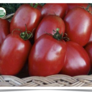 Product image of Tomato: Amish Paste