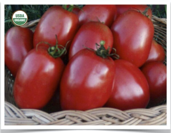 Product image of Tomato: Amish Paste
