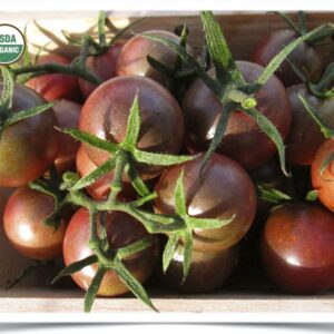 Product image of Tomato: Black Cherry