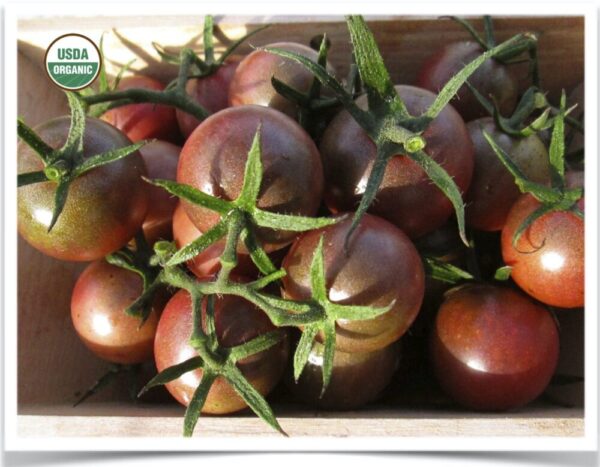 Product image of Tomato: Black Cherry