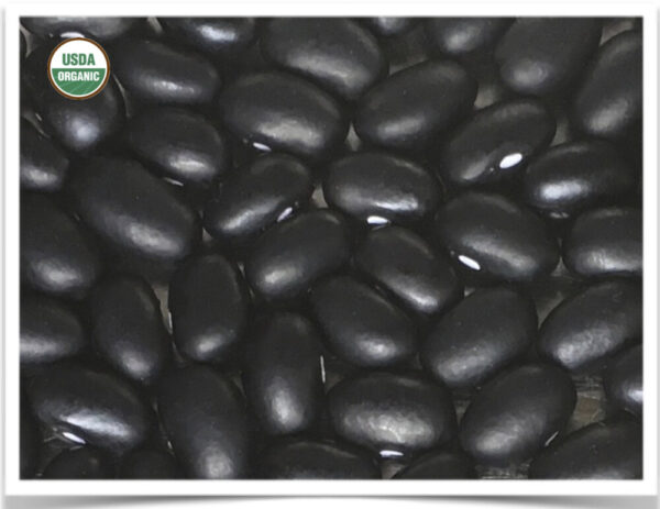 Product image of Bean, Dry: Black Turtle