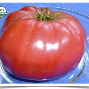 Shop North Dakota Tomato: Brandywine