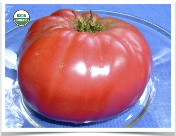 Product image of Tomato: Brandywine