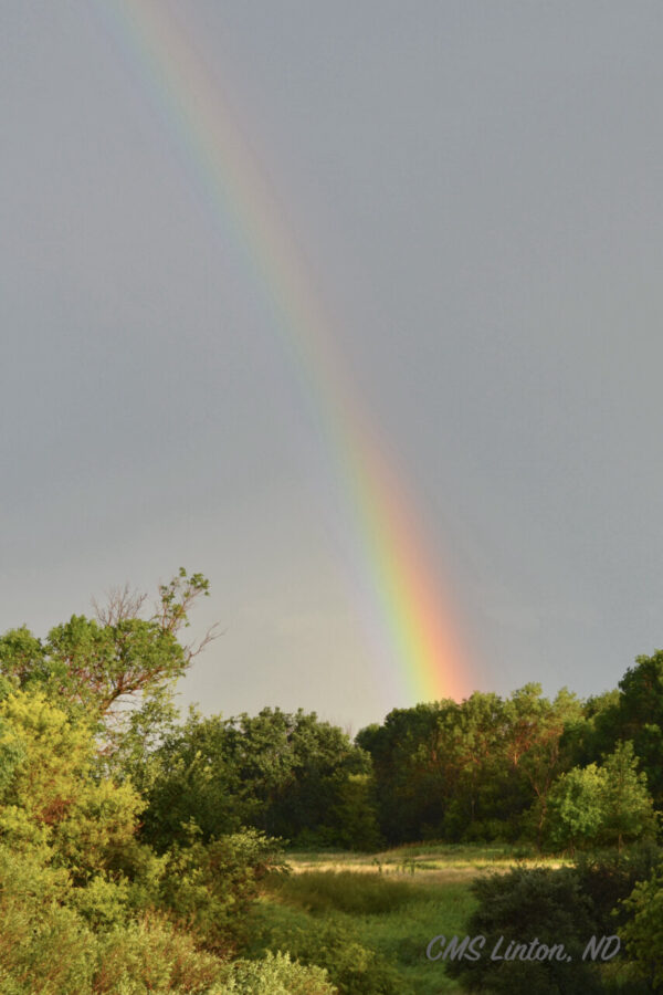 Product image of ND Rainbow & Irish Blessing – Photo Notecard