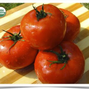 Product image of Tomato: Cannonball