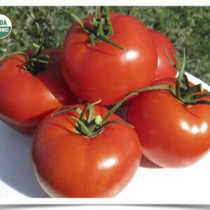 Product image of Tomato: Crimson Sprinter