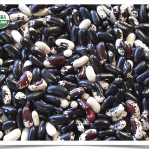 Product image of Bean, Dry: Dakota Bumble