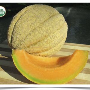 Product image of Melon: Dakota Sisters