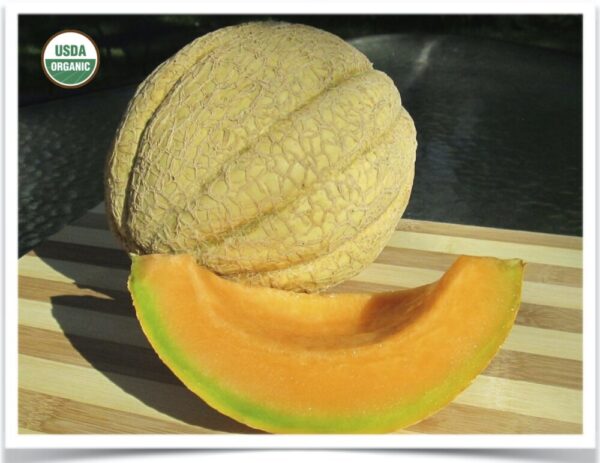 Product image of Melon: Dakota Sisters