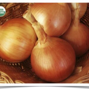 Product image of Onion: Dakota Tears