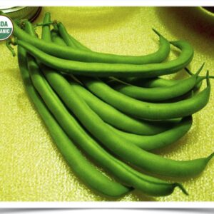 Product image of Bean, Green: Early Contender