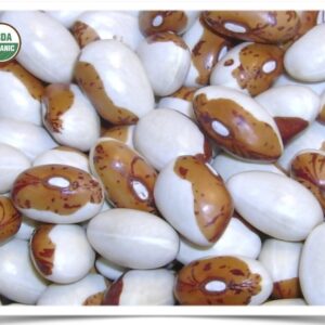 Product image of Bean, Dry: Hidatsa Shield Figure