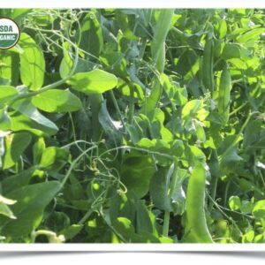 Product image of Peas: Homesteader