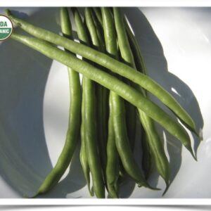 Product image of Bean, Green: Jade