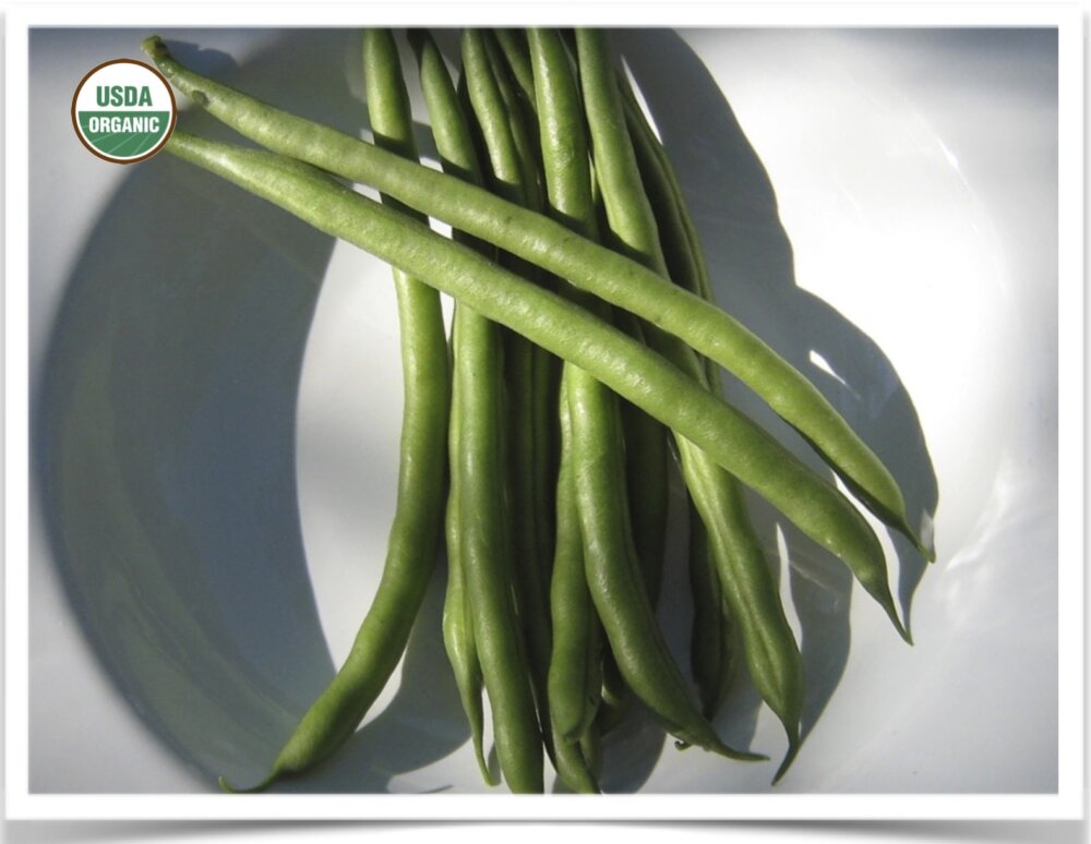 Bean, Green Jade Shop North Dakota