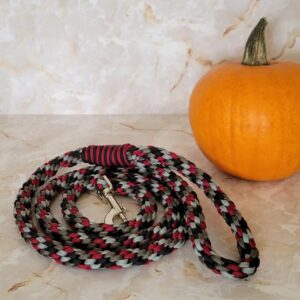 Product image of Dog Leash