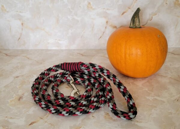 Product image of Dog Leash