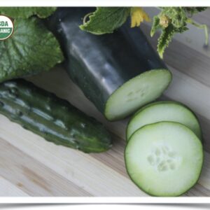 Product image of Cucumber: Marketmore