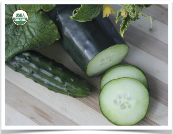 Product image of Cucumber: Marketmore