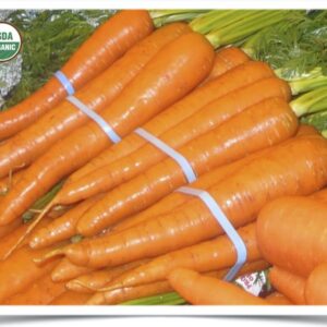 Product image of Carrot: Nash’s Best