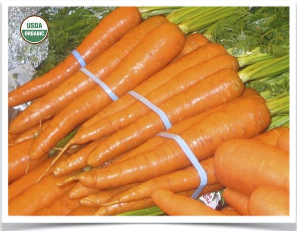 Product image of Carrot: Nash’s Best