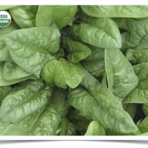 Product image of Spinach: Nobel