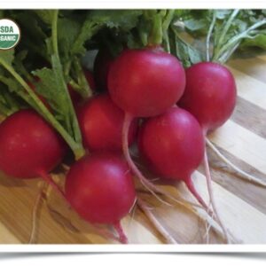 Product image of Radish: Raxe