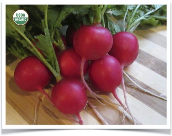 Product image of Radish: Raxe