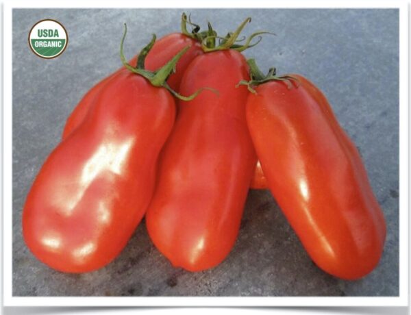 Product image of Tomato: San Marzano