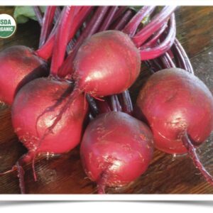 Product image of Beet: Sweet Dakota Bliss