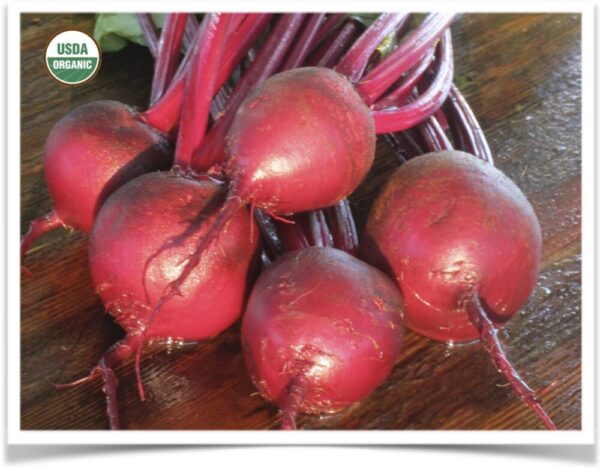 Product image of Beet: Sweet Dakota Bliss