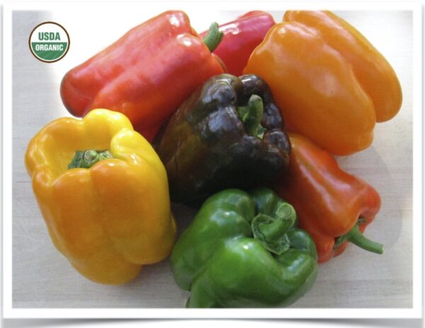 Product image of Pepper: Sweet Pepper Medley