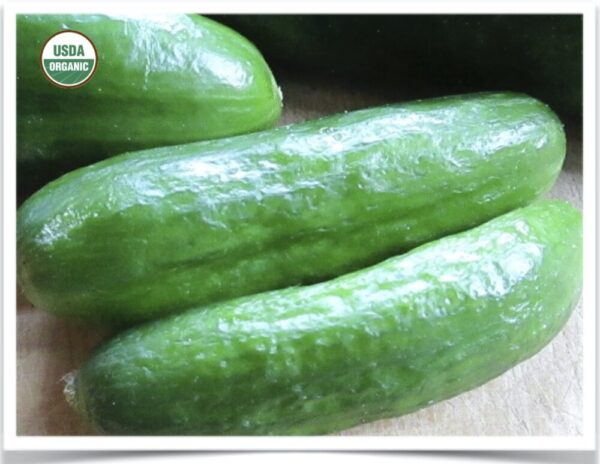 Product image of Cucumber: Tendergreen