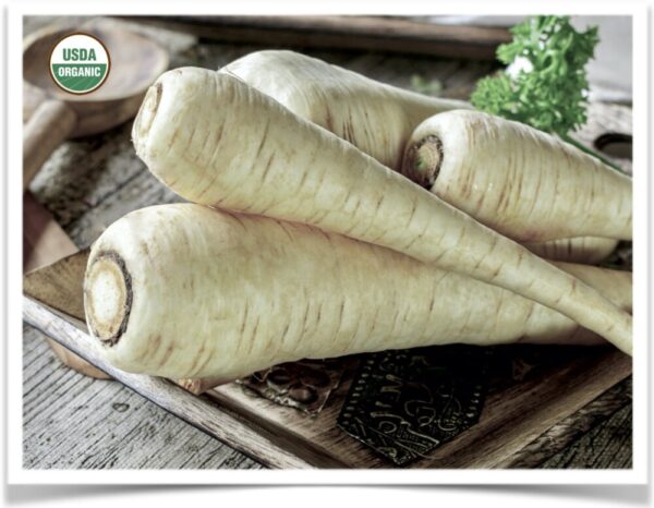 Product image of Parsnip: Turga