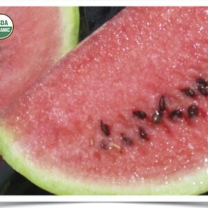 Shop North Dakota Watermelon: Sweet Dakota Rose