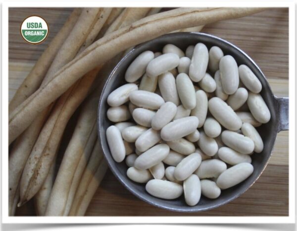 Product image of Bean: White Rice