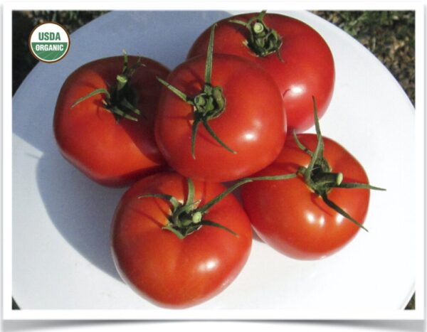 Product image of Tomato: Wisconsin 55