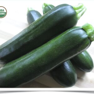 Product image of Zucchini: Dark Star