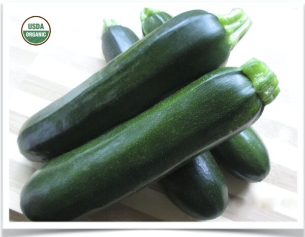 Product image of Zucchini: Dark Star