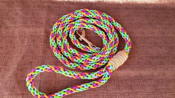 Product image of Dog Leash