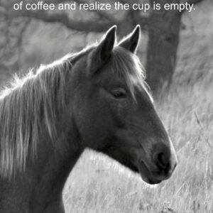 Product image of SET 2: ND Photo Notecards – FOR THE COFFEE CROWD