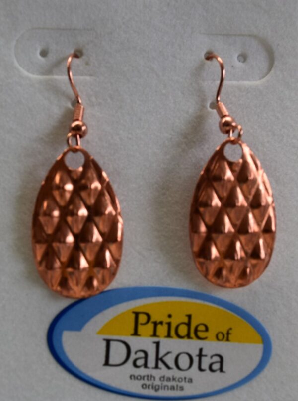 Product image of Copper Earrings