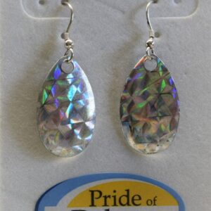 Shop North Dakota Silver Holographic Earrings