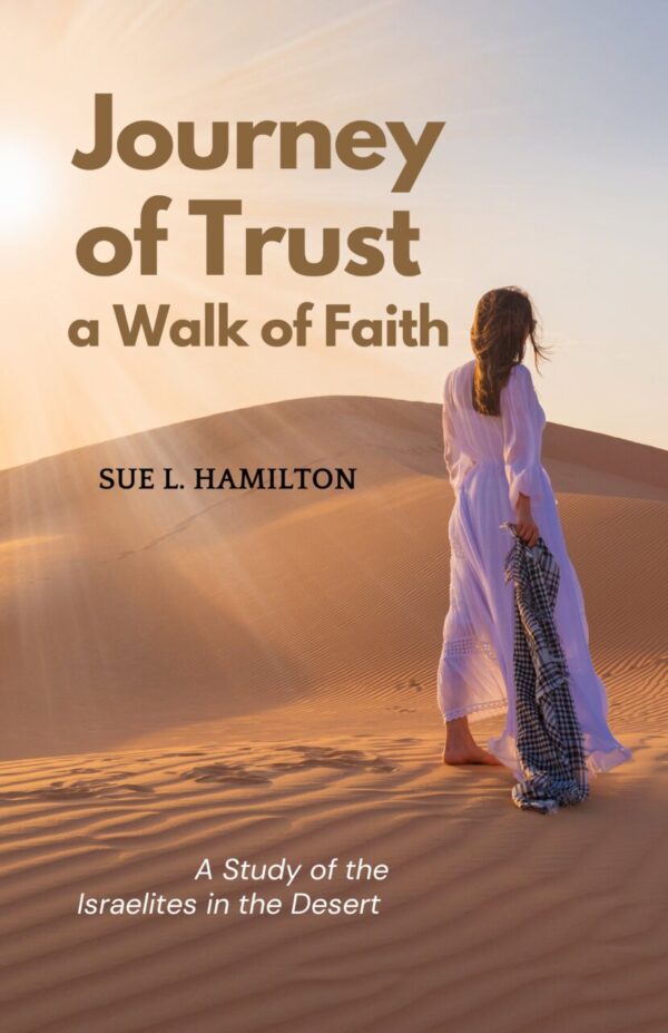 Product image of Journey of Trust Paperback
