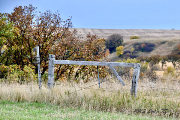 Product image of ND Autumn Images #1 Photo Notecards