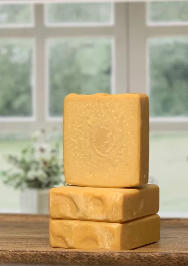 Shop North Dakota Turmeric Handmade Soap